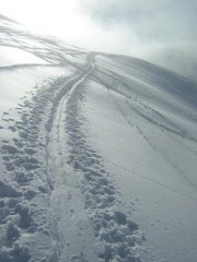 traccia nel tratto in alto sopra le roccette