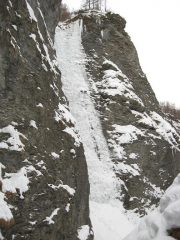 corazza del gorgosauro