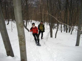Ale ed Irina nel bosco dei faggi