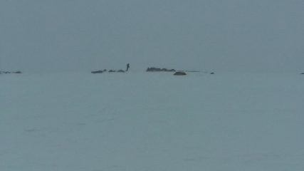 croce di vetta nella bufera