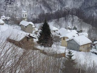 Monti