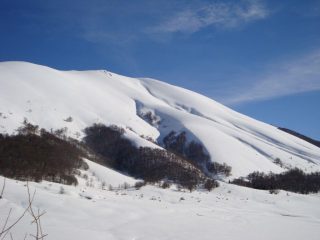 C. dello Scalone
