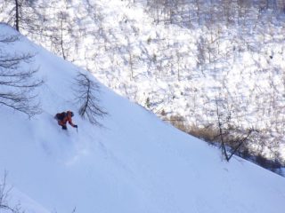 Powder
