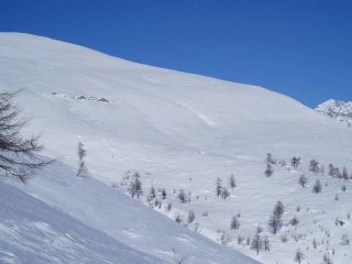 dal basso