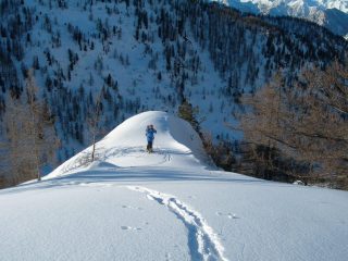 all'uscita del bosco