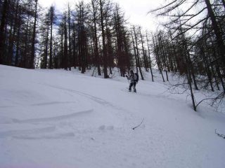 Discesa nel bosco