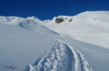 tanta tanta tanta neve...