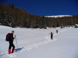 In salita prima della fascia boschiva