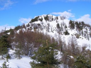 Verso il Sapei