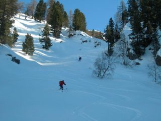 bei pendii tra gli alberi