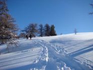 uscendo dal bosco 