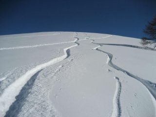 neve ottima