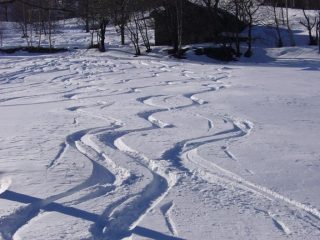 Si trovano sncora spazi con farina