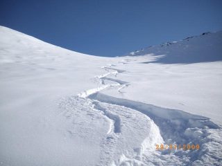 powder..