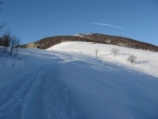 L'Alpe Monsuffietto