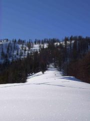 Crestone