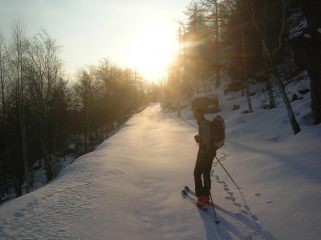 Lungo la strada che conduce nel Vallone di Scalaro.