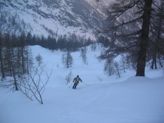 Discesa nel bosco di larici.