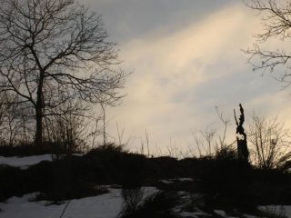 quanto è strana la natura!!