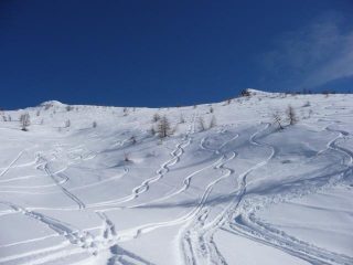 inizia la discesaaaaa