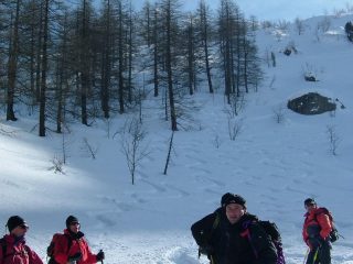 i pendii nella parte intermedia del bosco