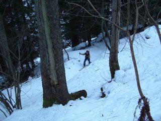 Nel bosco subito sopra il ponte delle Guardie