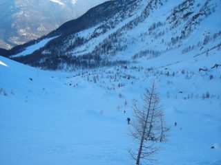 gruppo in uscita dal bosco