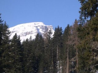 vetta