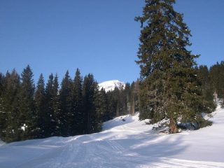 vetta piz Bevein dalla partenza