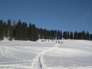 primo tratto salita nel bel bosco