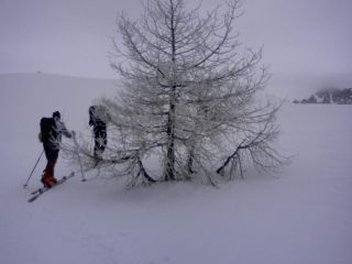 salendo alla Cime de Gratin