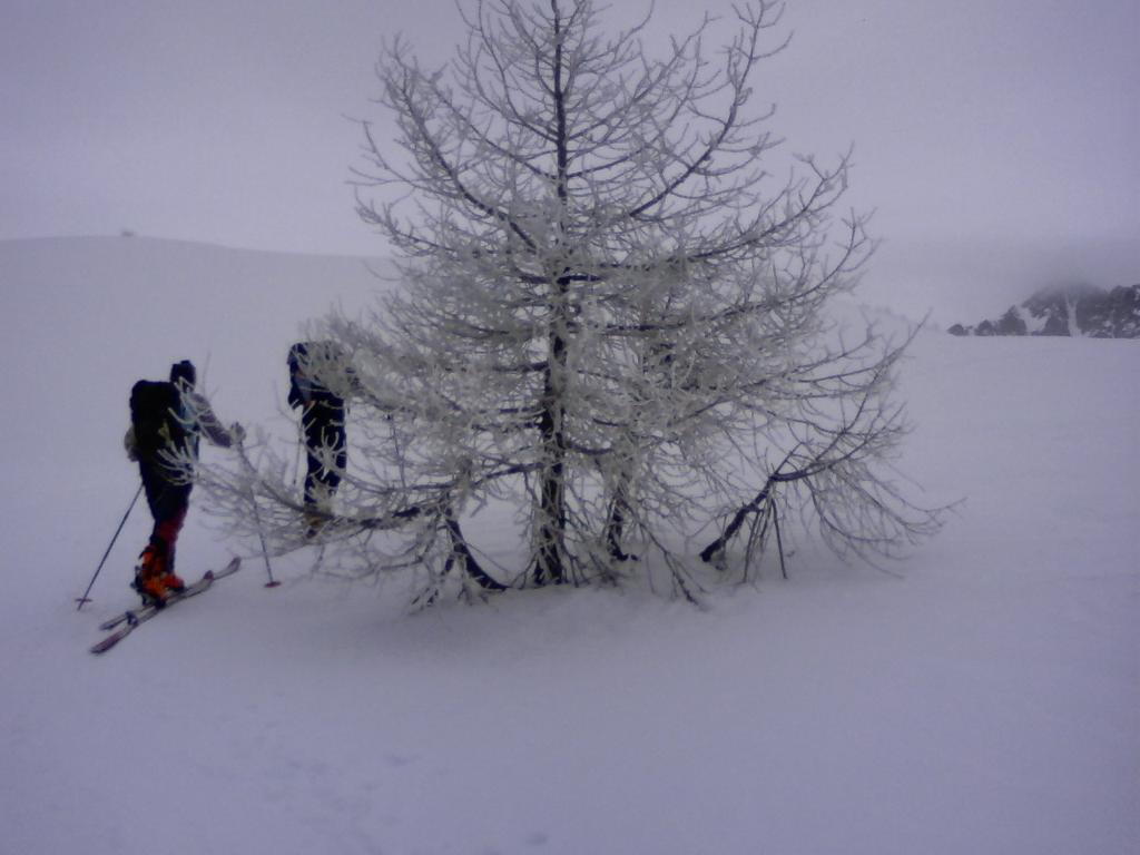 salendo alla Cime de Gratin