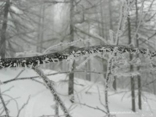 particolare...foto m.conti