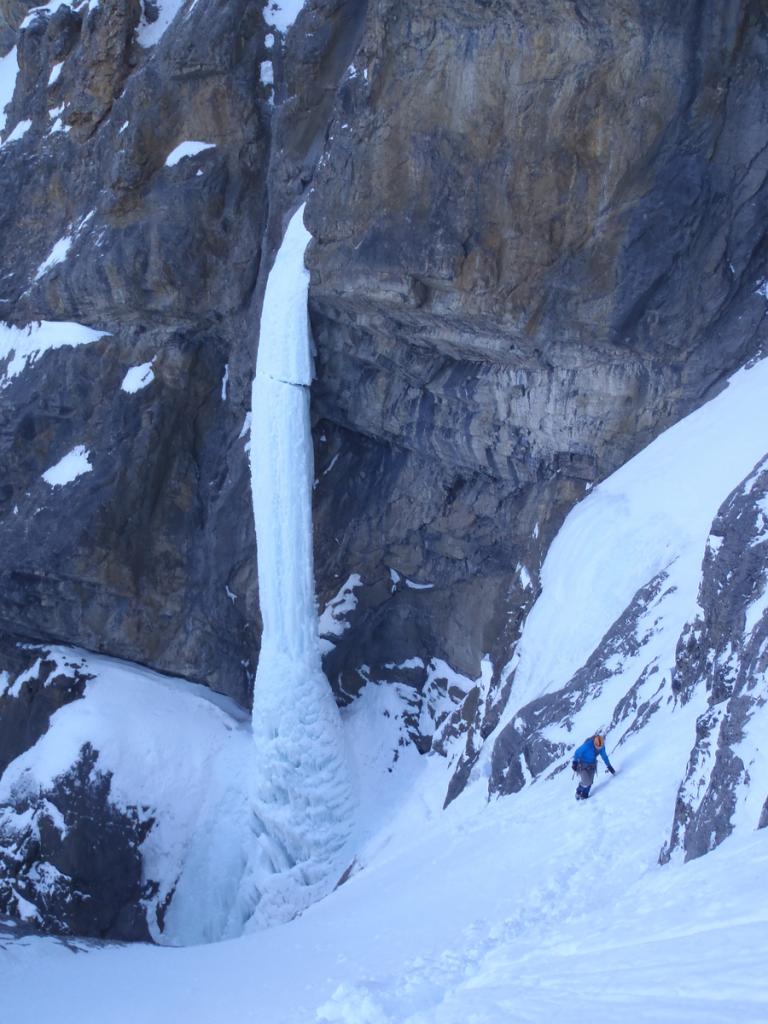 The pencil - Polar Circus 