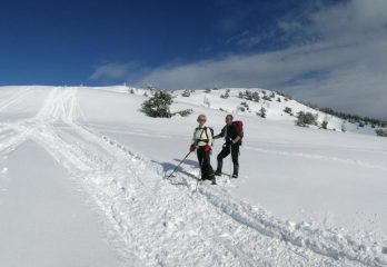 fuori dal bosco