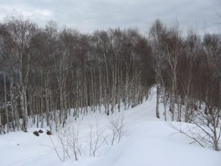 In discesa su dorsale verso Bric di Trausella