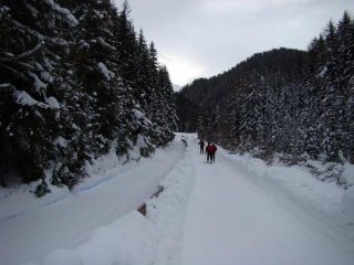 a finaco della pista slittino