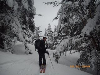 Fabri in salita nella magica abetaia