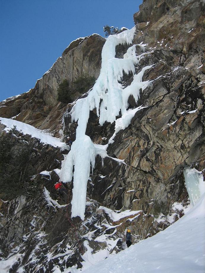 Bellissima e articolata