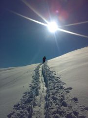 proseguendo sotto il sole