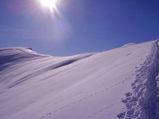 la bella farina che attende di essere solcata