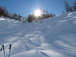 Farina 5 stelle