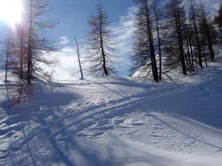 Parte finale bosco Navette
