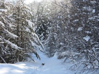 Paesaggio spettacolare