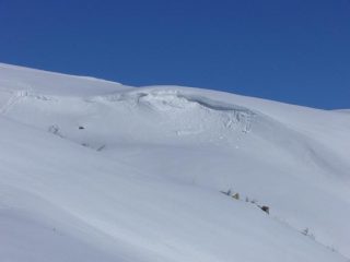 Riccioli che aspettano il disgelo