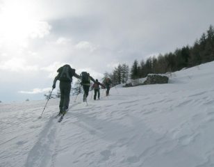 radura di Foullemagne