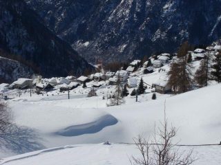 Chamois