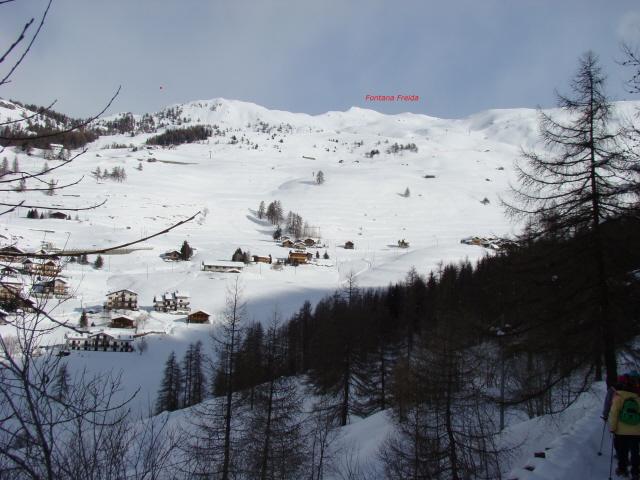 verso Fontana Freida