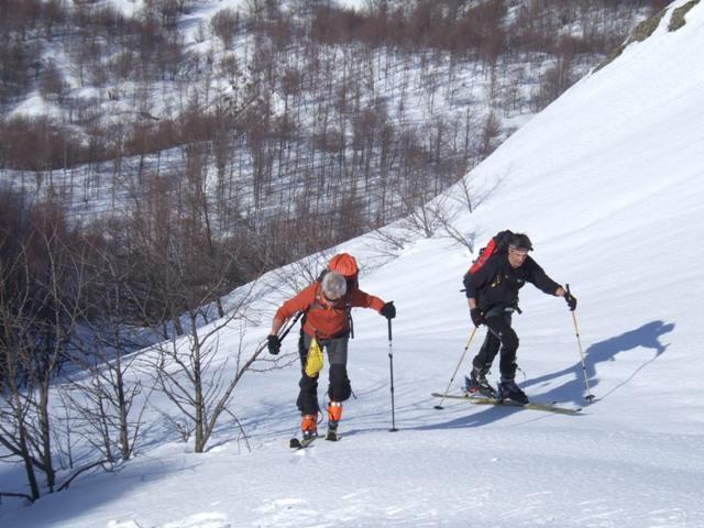 Salendo al colle