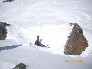tristezza ma questo è il corso a volte duro della natura 